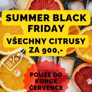 Pouze do konce července u nás můžete zakoupit všechny citrusy pouze za 900,- Kč. Nepropásněte tento výprodej na...