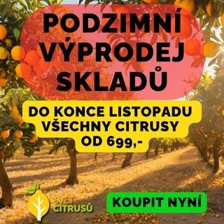 🍂 Podzimní výprodej skladů 🍂 Do konce listopadu probíhá náš podzimní výprodej skladů. Rostliny u nás nakoupíte již od...